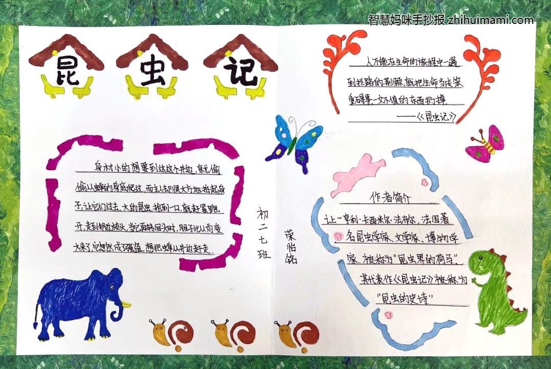 七年级昆虫记手抄报绘画一等奖（7张）-图6