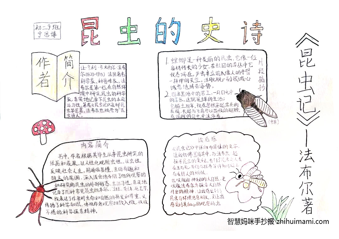 七年级昆虫记手抄报绘画一等奖（7张）-图2