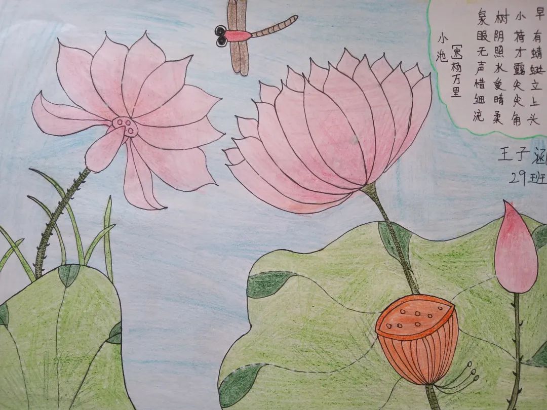 古诗配画作品—小池