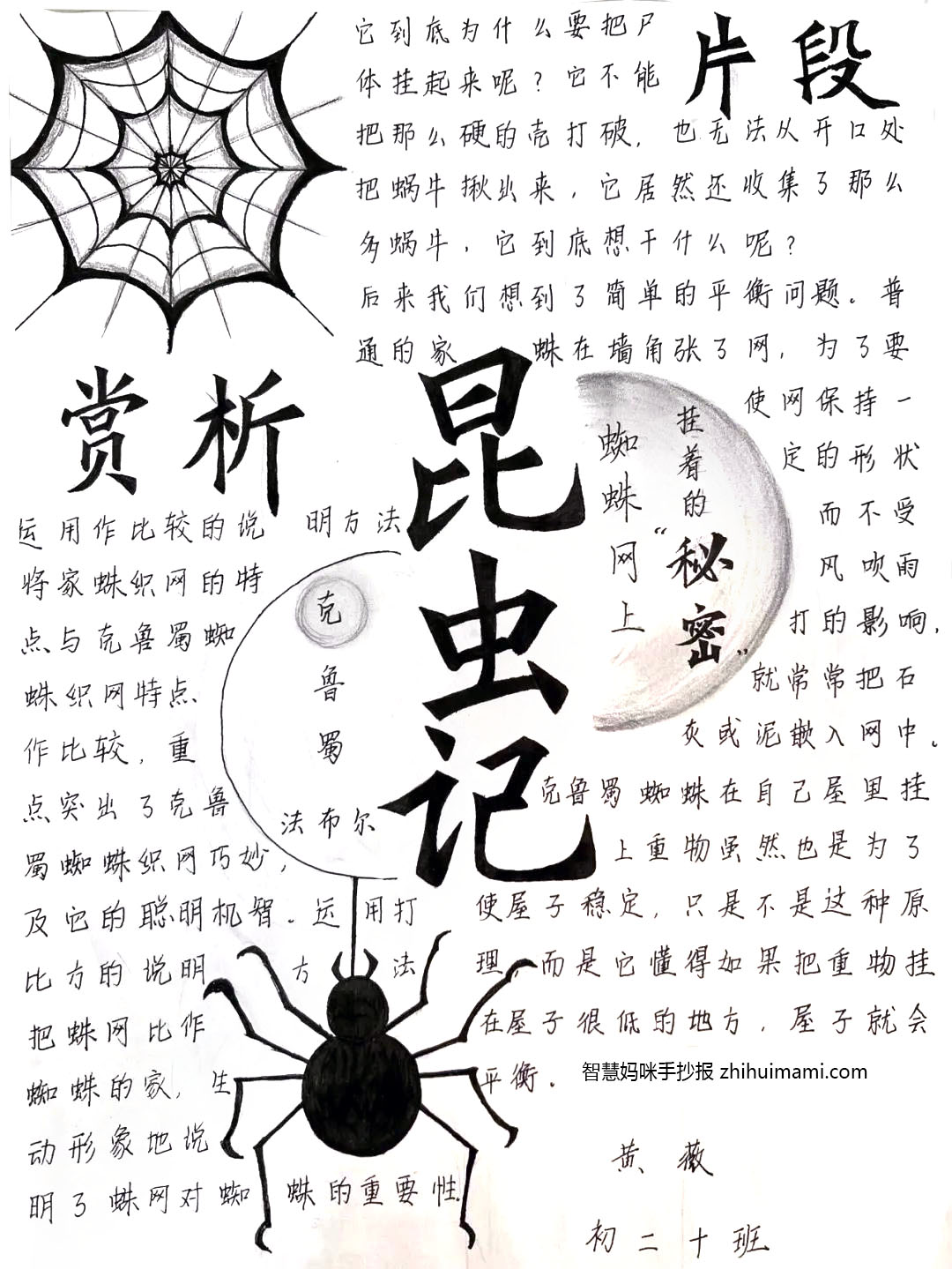 9张关于昆虫记的手抄报图片（A3竖版）-图2