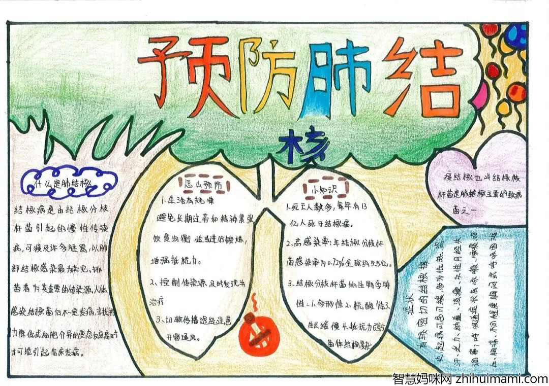 怎么画关于防治肺结核的手抄报-图1