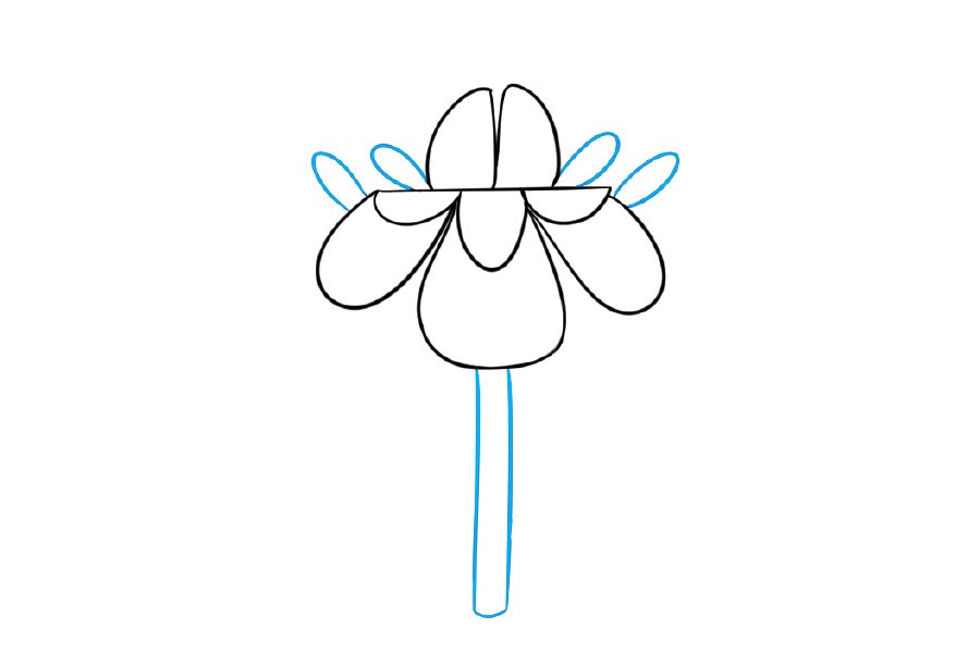 漂亮的小花简笔画画法步骤-图3
