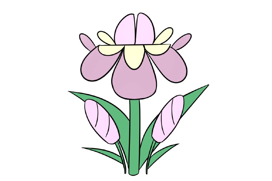 漂亮的小花简笔画画法步骤