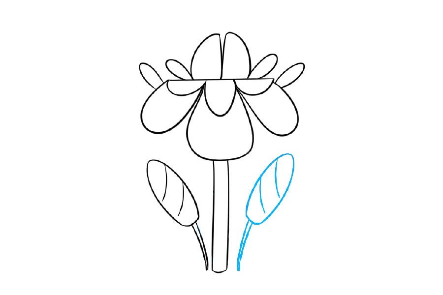 漂亮的小花简笔画画法步骤-图5
