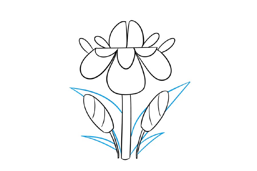 漂亮的小花简笔画画法步骤-图6
