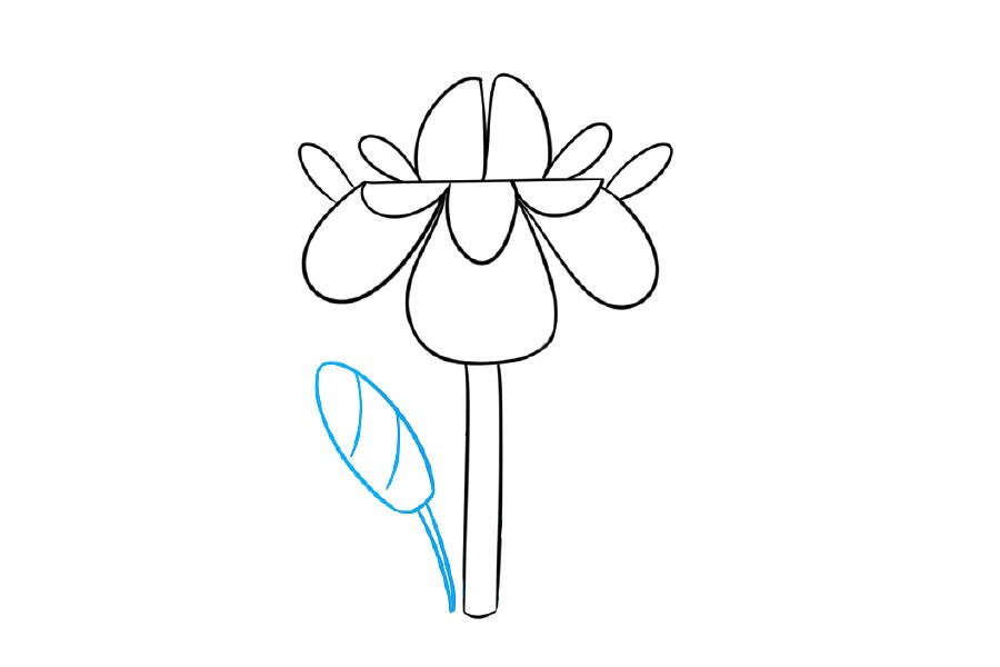 漂亮的小花简笔画画法步骤-图4