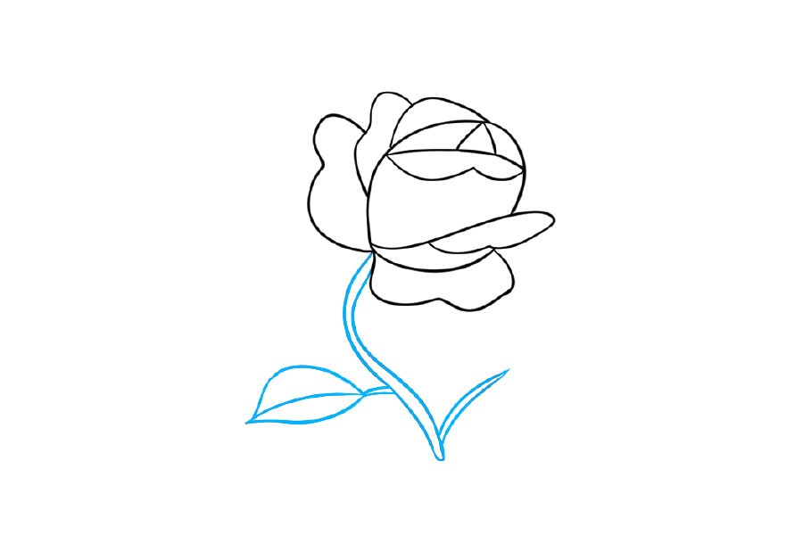 学画漂亮的小花简笔画-图4