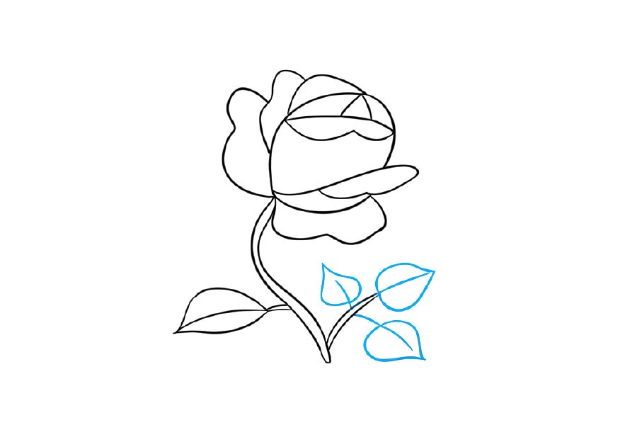 学画漂亮的小花简笔画-图5