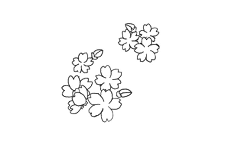 樱花的详细画法图解-图11