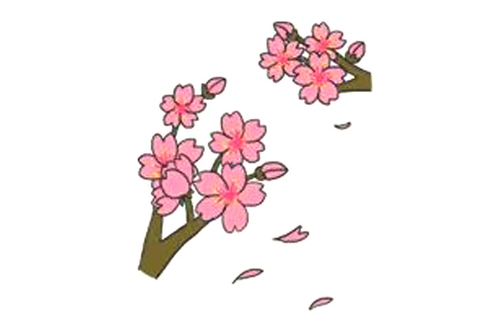 樱花的详细画法图解