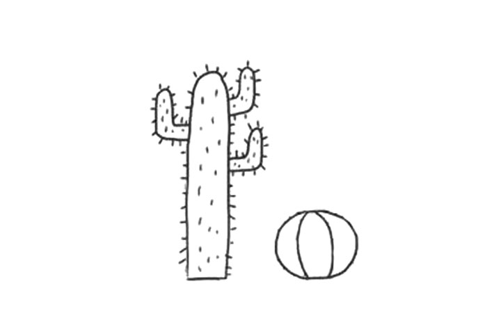 漂亮的仙人掌景观简笔画画法-图4