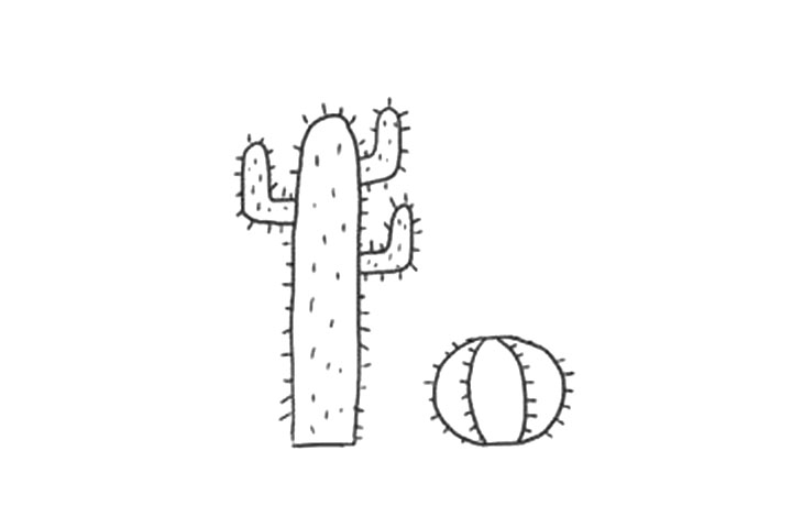漂亮的仙人掌景观简笔画画法-图5