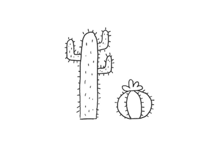 漂亮的仙人掌景观简笔画画法-图6
