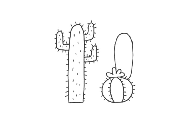 漂亮的仙人掌景观简笔画画法-图7