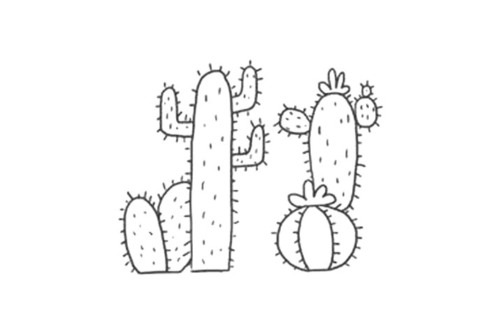 漂亮的仙人掌景观简笔画画法-图11