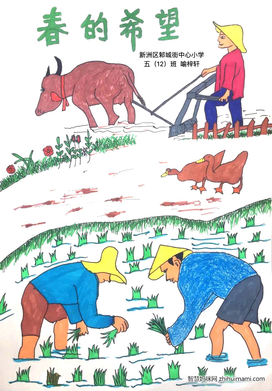 步骤10：“春种一粒粟，秋收万颗子。”一年之计在于春，瞧，鸭子们也被这生机勃勃的春景吸引，出来踏青了。农民伯伯又开始在田间地头劳作了，他们望着那一抹抹绿色，也看到了那一抹抹希望！