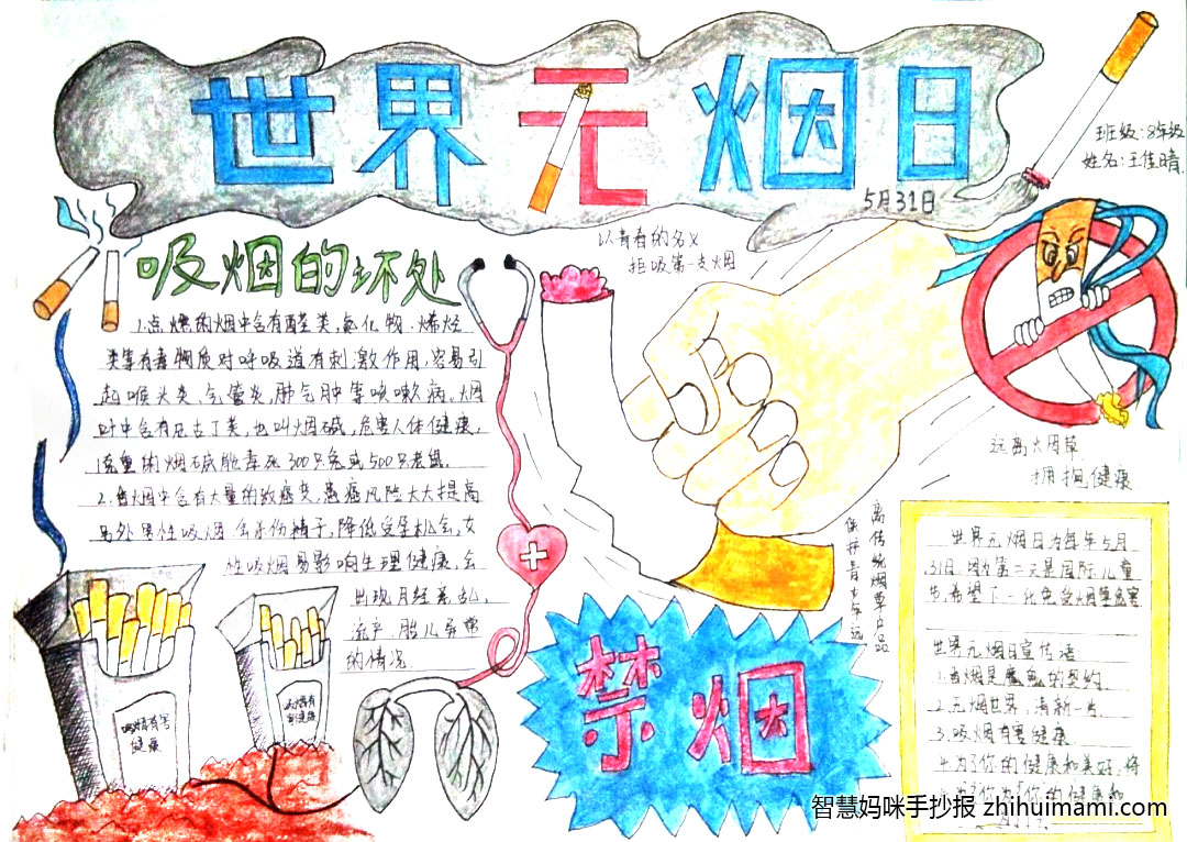 4.7世界无烟日小报简单又漂亮（9张）-图7