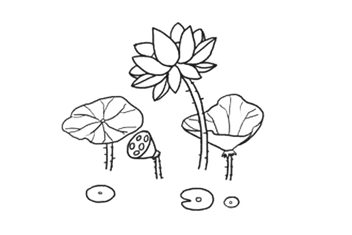 步骤9：画一些浮萍