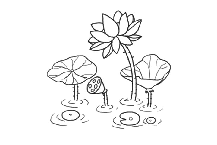 步骤10：加上水纹