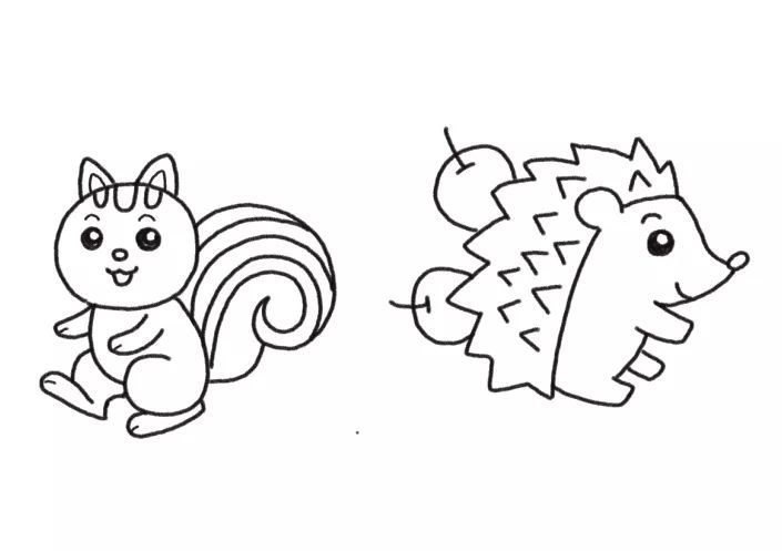 简单又可爱松鼠和刺猬简笔画画法步骤-图5
