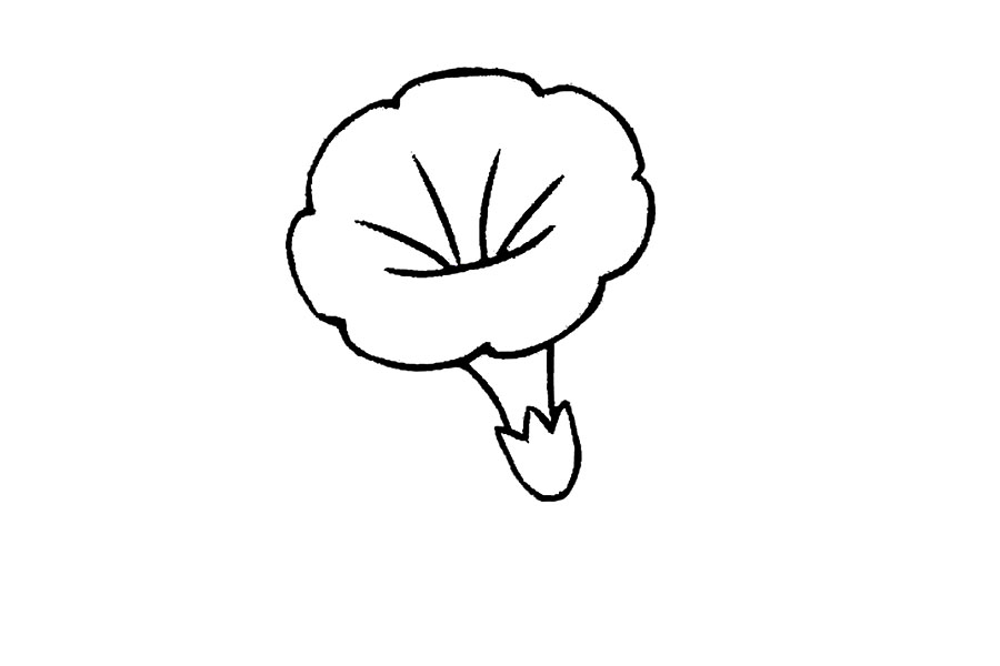 五彩缤纷的牵牛花怎么画-图3