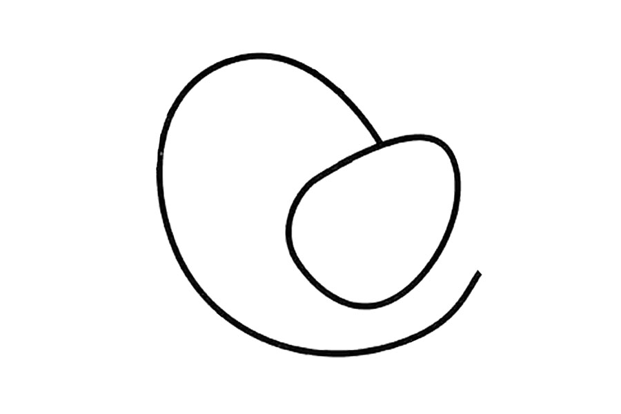 步骤2：在缺口出画出一个圆角的三角形作为翅膀。