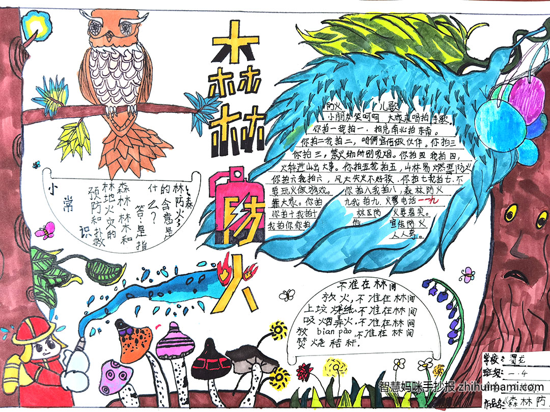 步骤7：《森林防火》作品简介:森林防火，牢记于心