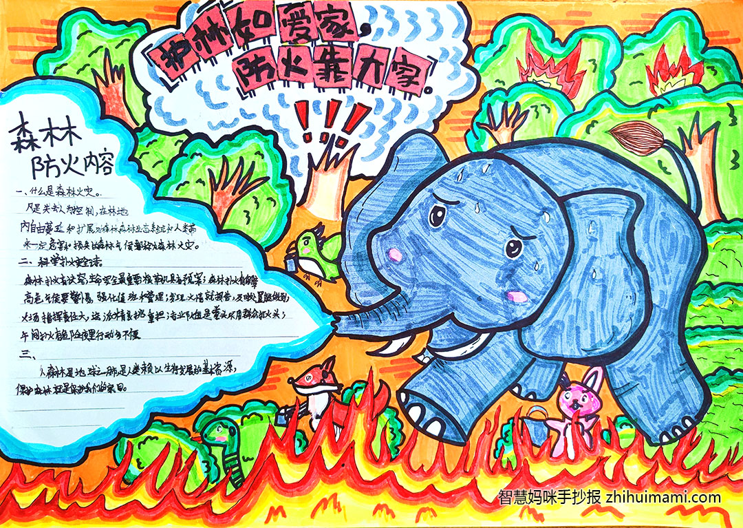 步骤9：《护林如爱家》森林是地球之肺，我们更应该保护好她，保护地球，保护人们赖以生存的环境。