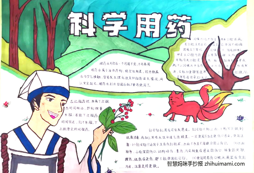 10张关于中药文化的手抄报图片-图3