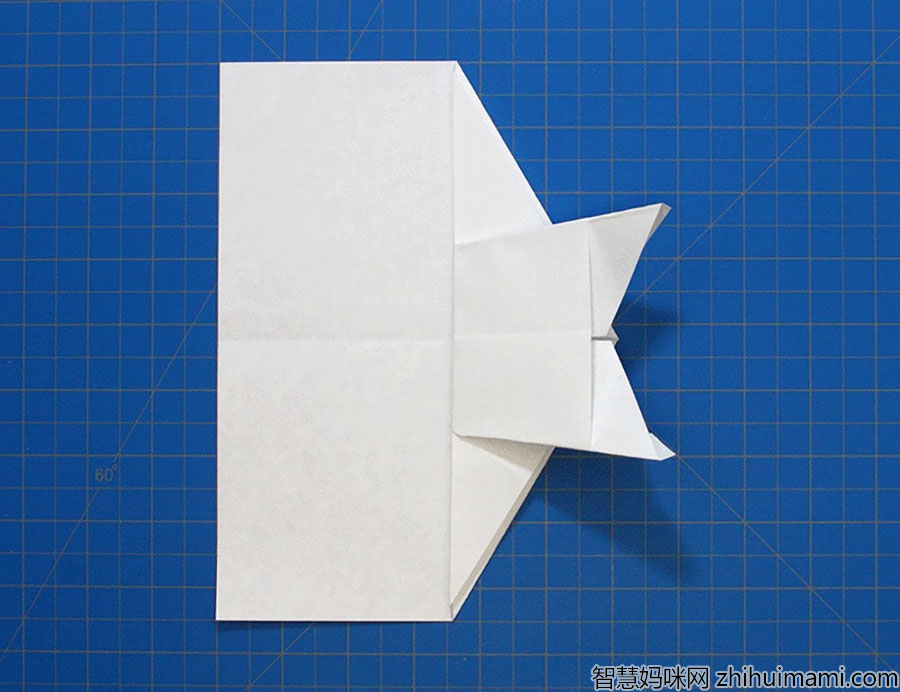 步骤7：取外点并将它们折叠两次，这样它们就被塞进去了。