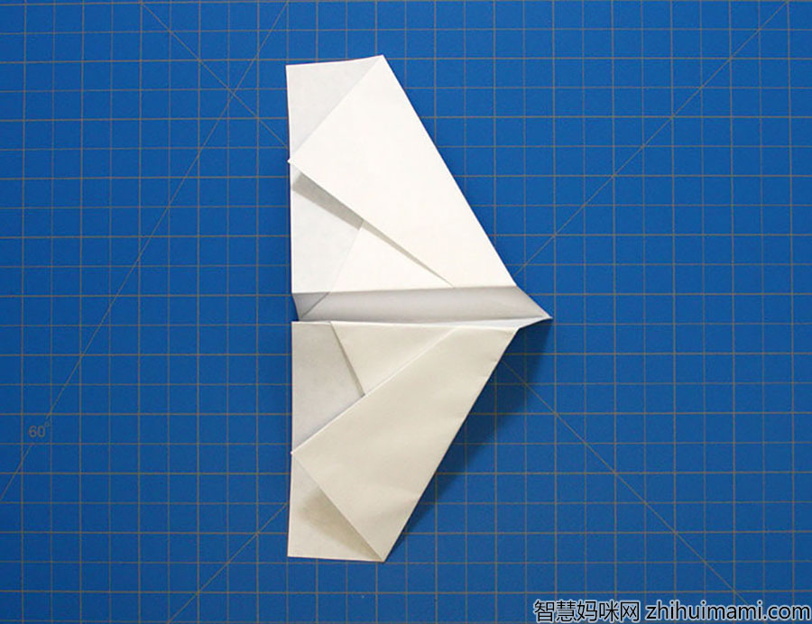 步骤6：将每一边折叠起来形成翅膀。