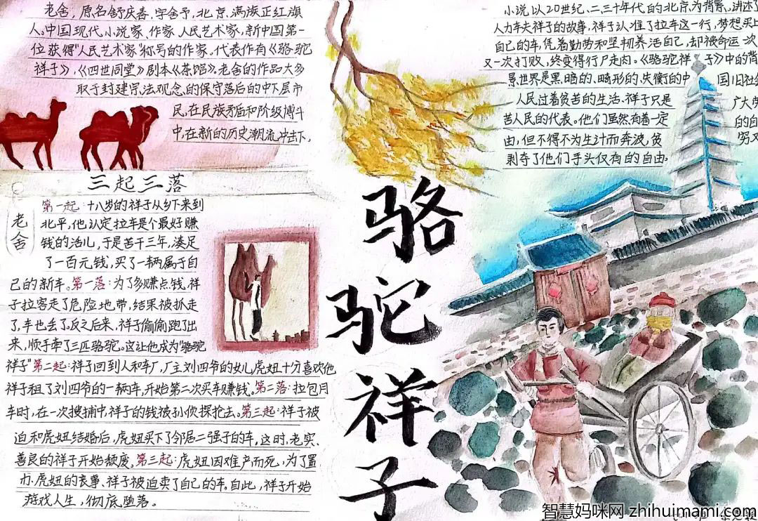 关于阅读手抄报内容-图4