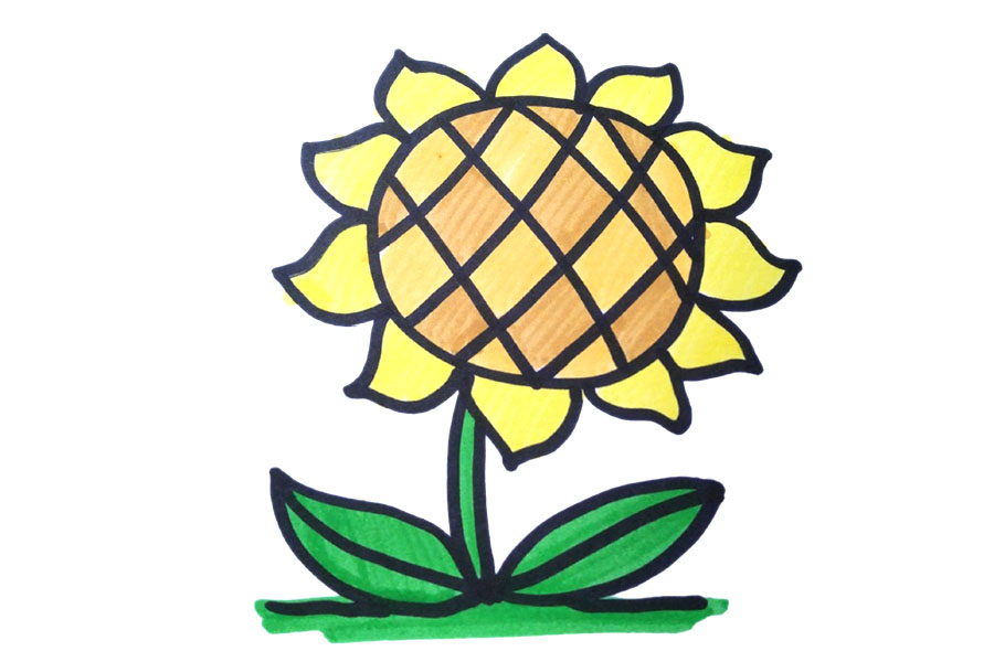 一组漂亮的花花简笔画图片-图9