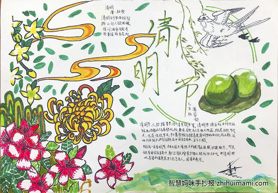 关于清明节祭祖扫墓的手抄报-图1