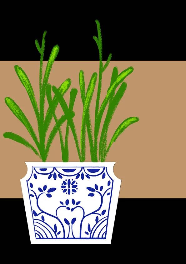 步骤3：接下来，根据花盆的位置用油画棒绘制水仙的叶子。