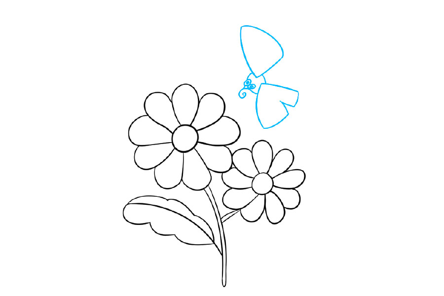 一步一步学画漂亮的菊花简笔画-图4