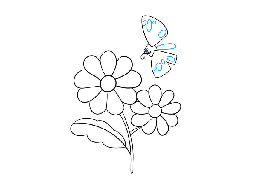 一步一步学画漂亮的菊花简笔画-图5