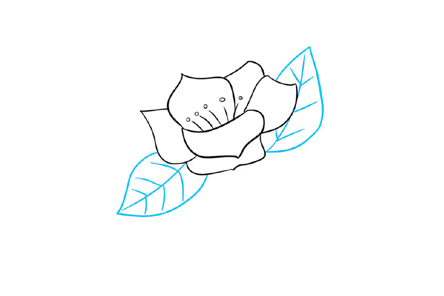 如何画树枝上漂亮的花朵-图3