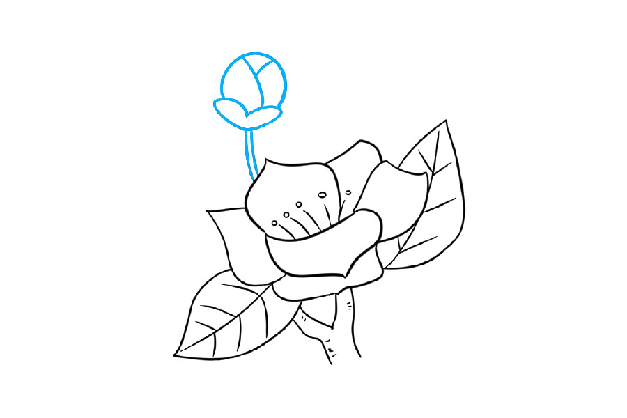 如何画树枝上漂亮的花朵-图5