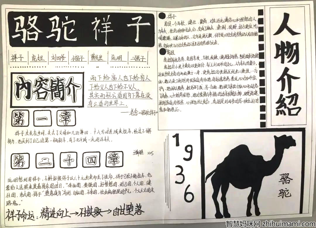骆驼祥子手抄报简单好看-图5