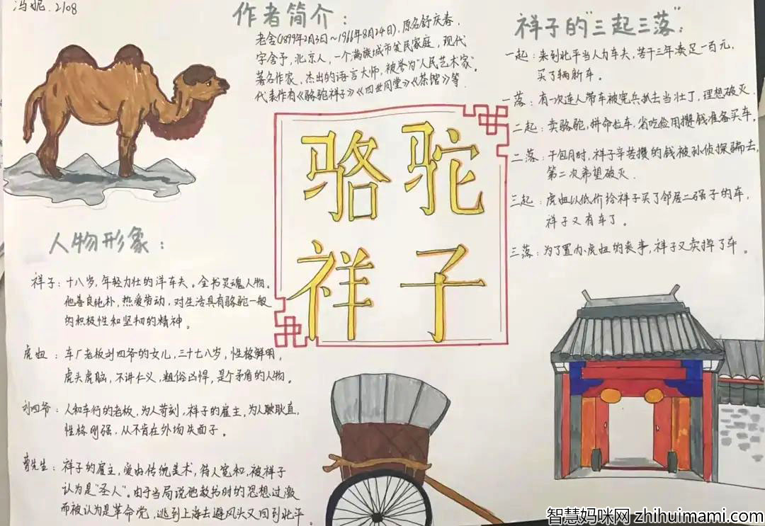 6张关于骆驼祥子的手抄报图片-图2