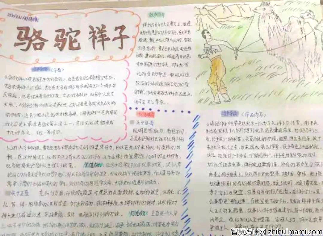 6张关于骆驼祥子的手抄报图片-图4