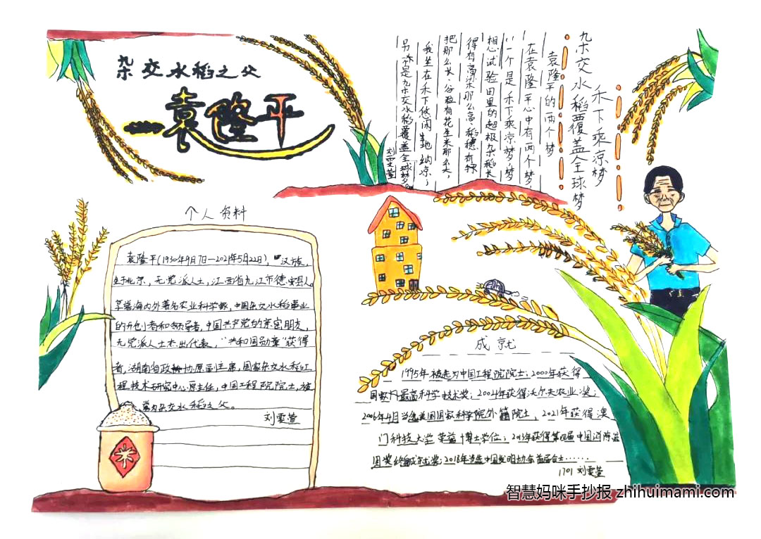 关于袁隆平的名人小报简单漂亮-图1