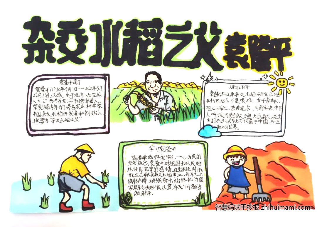 关于袁隆平的名人小报简单漂亮