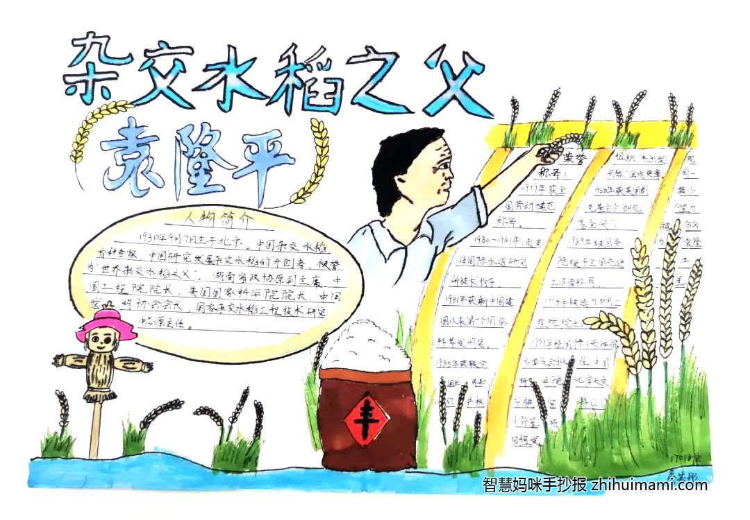 关于袁隆平的名人小报简单漂亮-图4