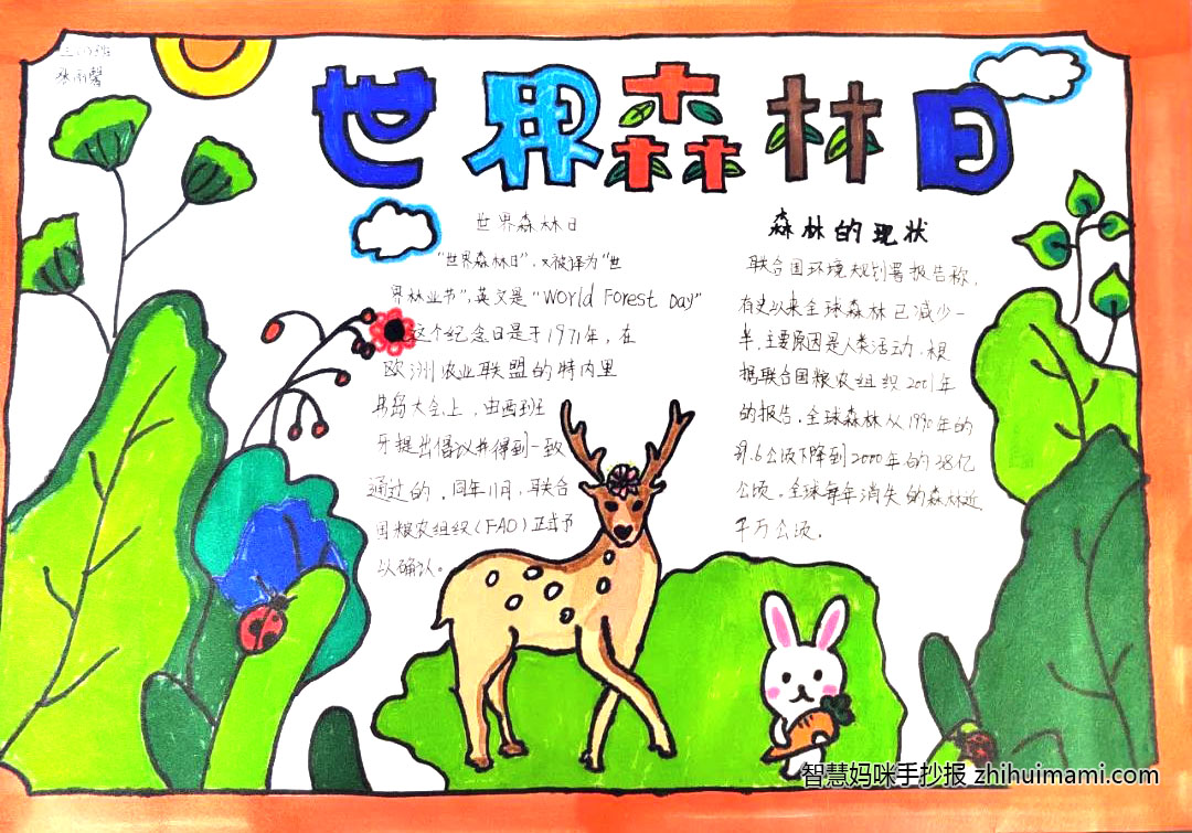 漂亮的世界森林日手抄报（6张）-图3