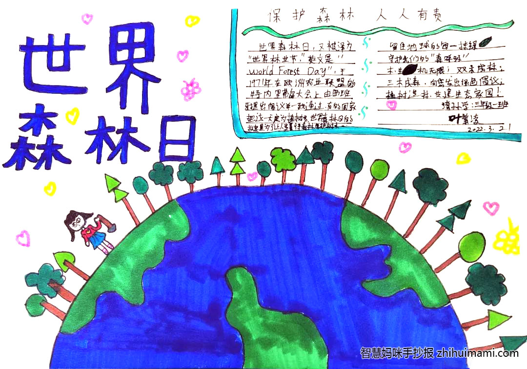 漂亮的世界森林日手抄报（6张）-图6
