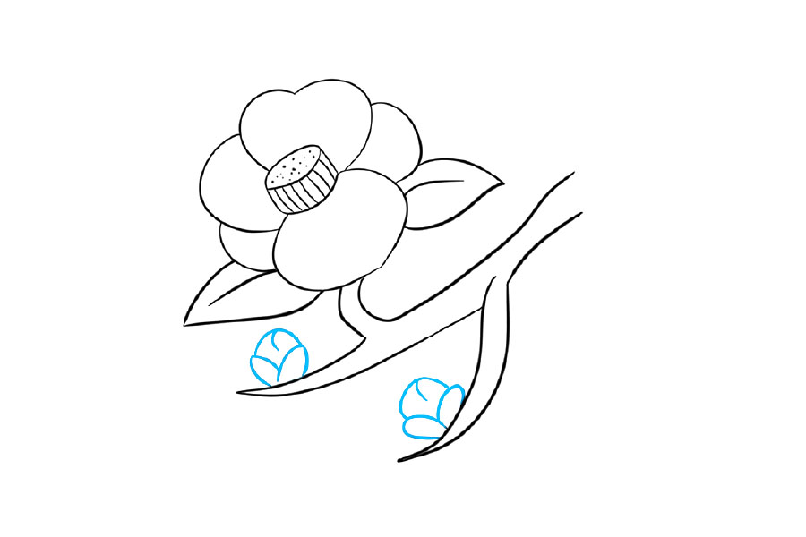 一步一步学画漂亮的桃花-图5