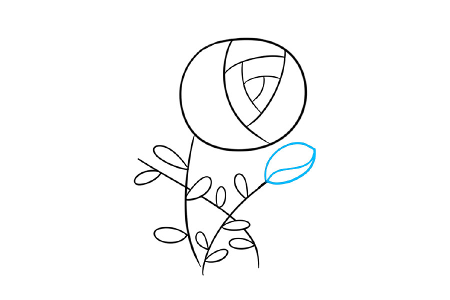 一步一步学画漂亮的玫瑰花-图4