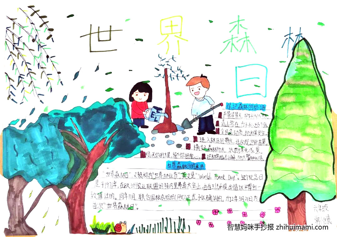 五年级世界森林日手抄报绘画（6张）-图4